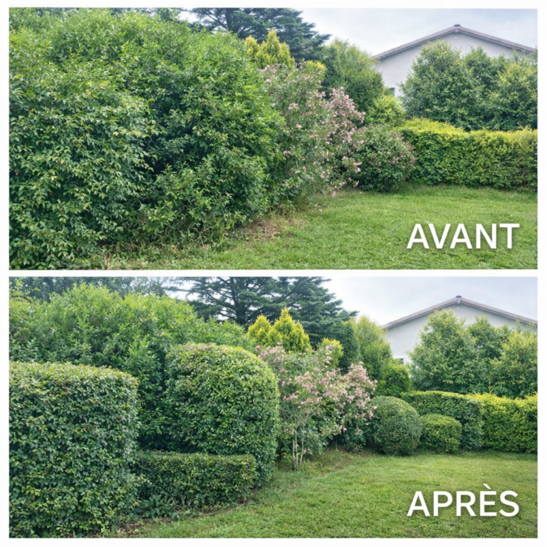 ChatGPT Image 20 mars 2026, 18_51_49